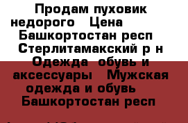 Продам пуховик недорого › Цена ­ 1 500 - Башкортостан респ., Стерлитамакский р-н Одежда, обувь и аксессуары » Мужская одежда и обувь   . Башкортостан респ.